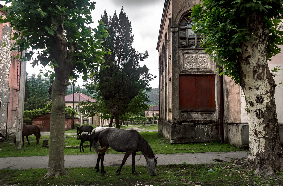 Tkvarceli 1