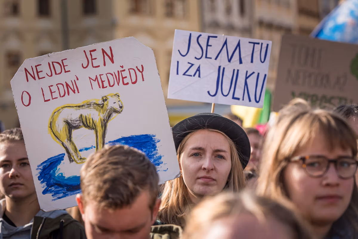 2019 09 20 stavka za klima 1920 zewlakk 5005