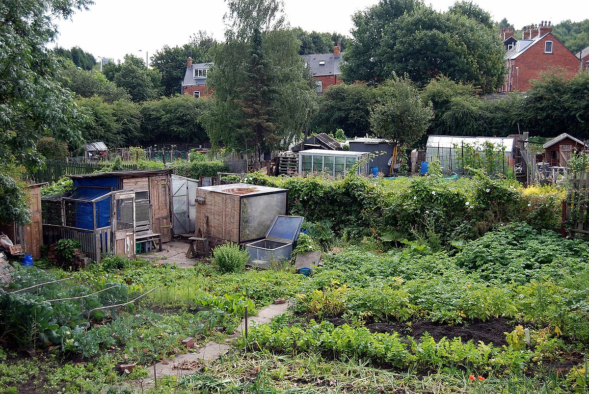 Co znamená nerůst? Pohodu pro všechny 3 An Urban Allotment