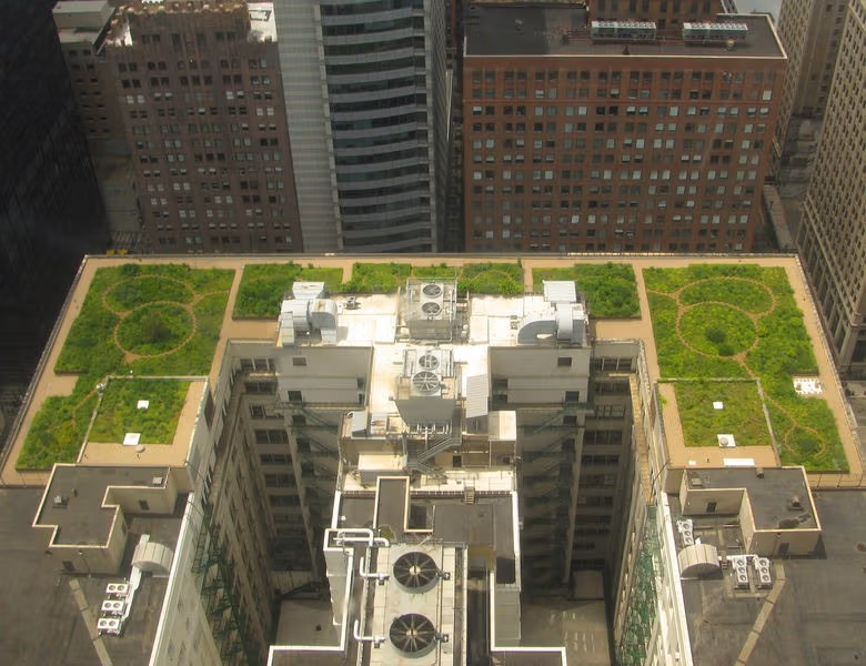 Chicago City Hall Green Roof edit 2