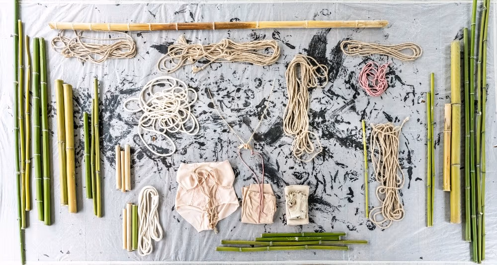 Hněv je fyzický, dá se přetavit v materiál pro tvorbu, říká laureát Chalupeckého ceny Robert Gabris 2 Insectopia Robert Gabris © photo Ela BIlakowska OKNOstudio