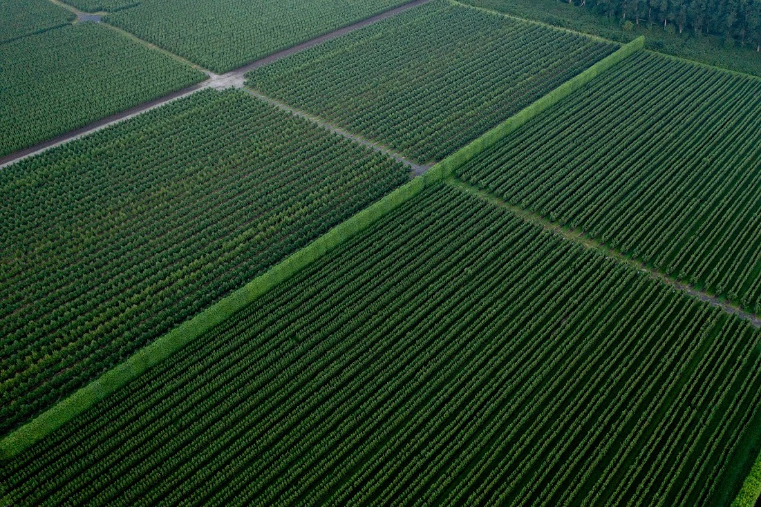 20210726 DJI 0203