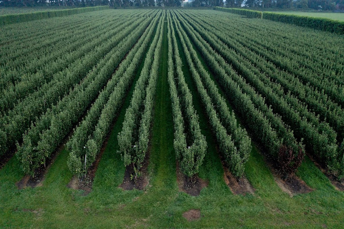 20210726 DJI 0219