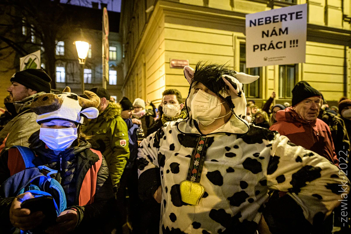 demonstrace Agrární komory, foto: Petr Zewlakk Vrabec