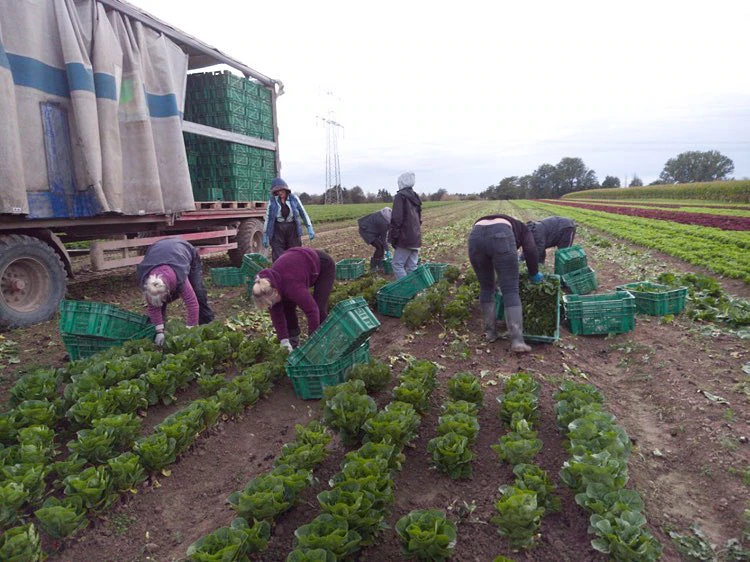 farma1