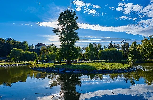 640px Stromovka rybnik Slunecnice