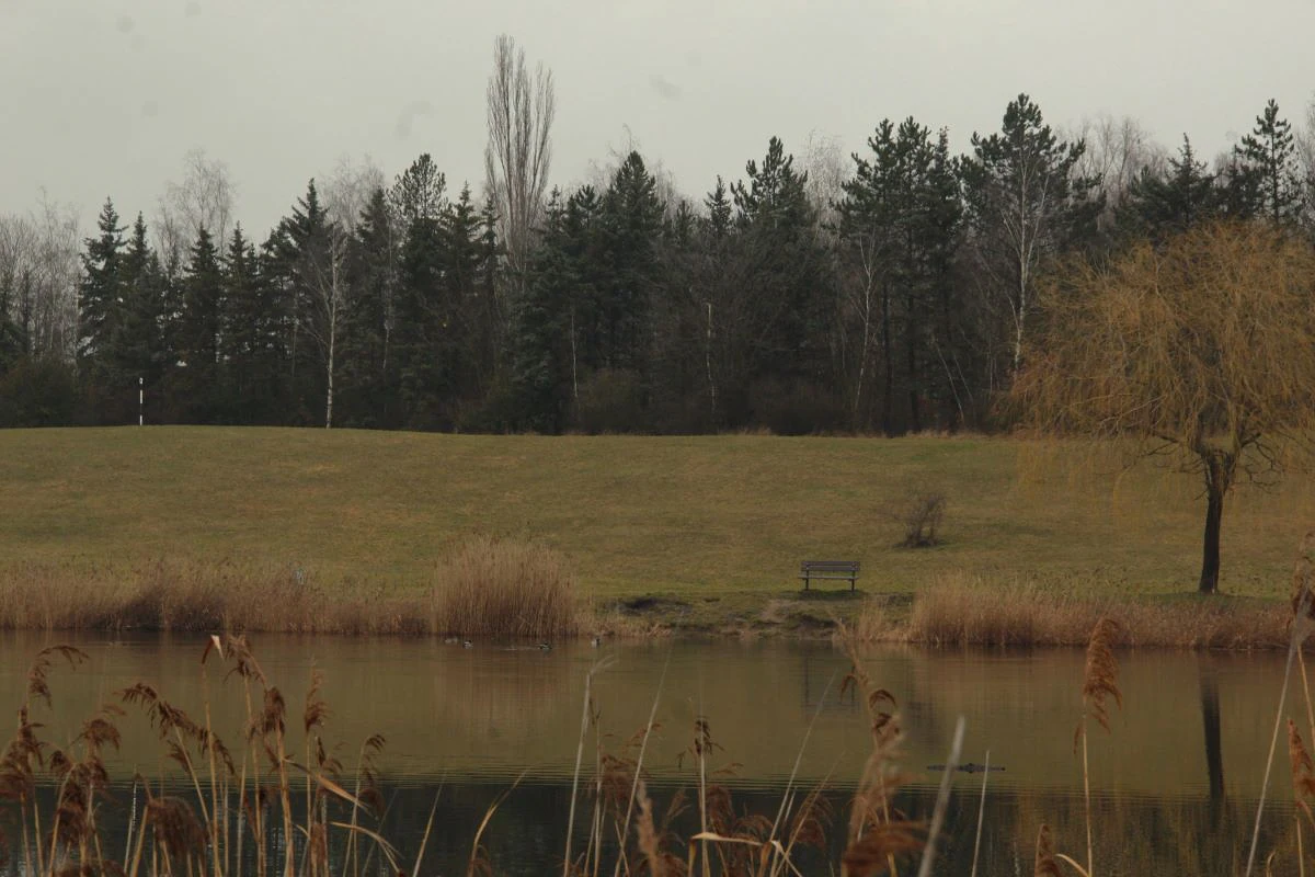 Krajina pro všechny. Je možné rekultivovat krajinu severních Čech skutečně udržitelně? 1 u kostela