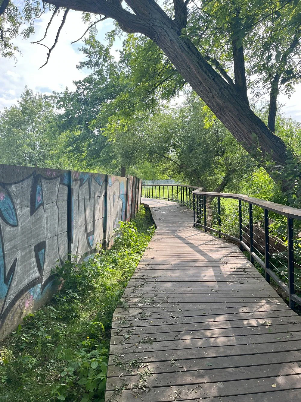 drevenastezka