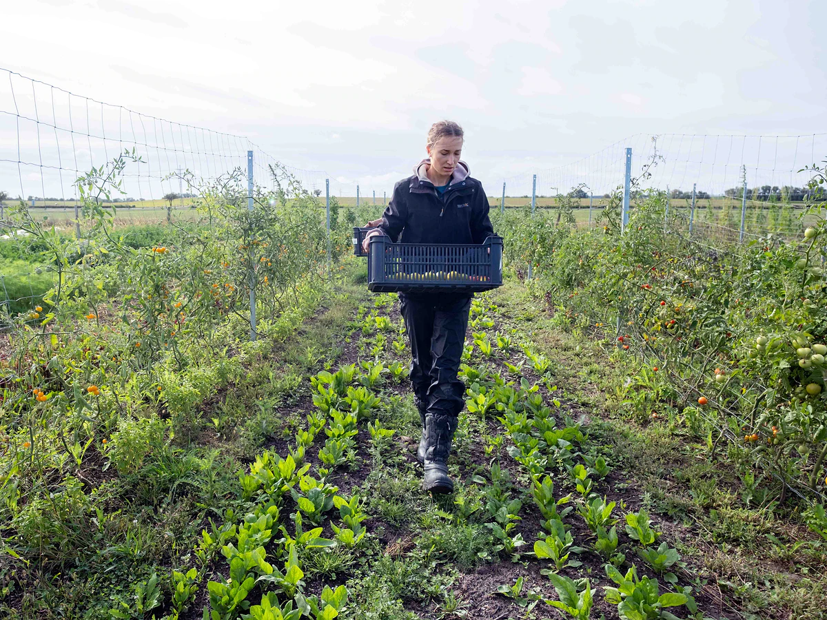 „Farmaření jsem začala dělat, abych se vypořádala s pocitem bezmoci,“ říká spolumajitelka ekologického statku 4 20250916 stateknakrajipardubic 12 web scaled e1776183882493