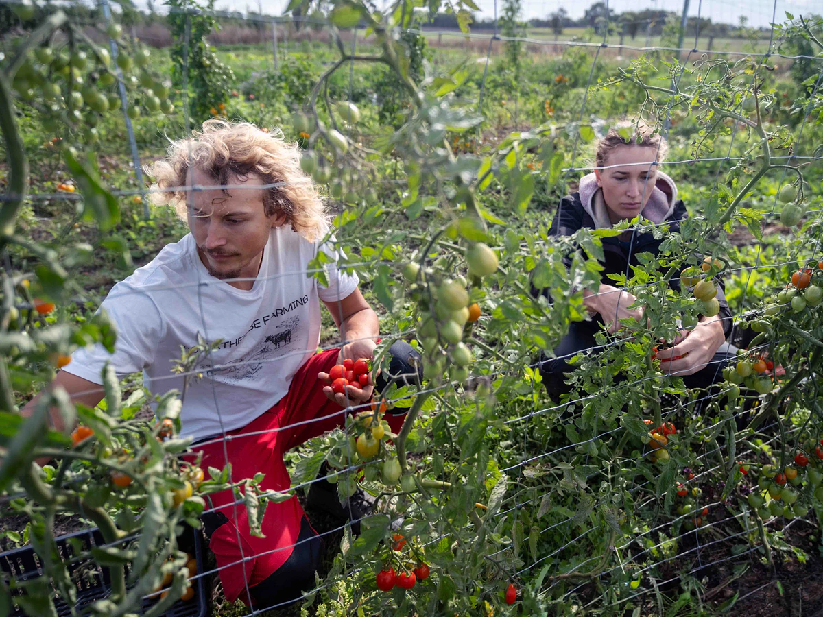 „Farmaření jsem začala dělat, abych se vypořádala s pocitem bezmoci,“ říká spolumajitelka ekologického statku 1 20250916 stateknakrajipardubic 15 web scaled e1776183828653