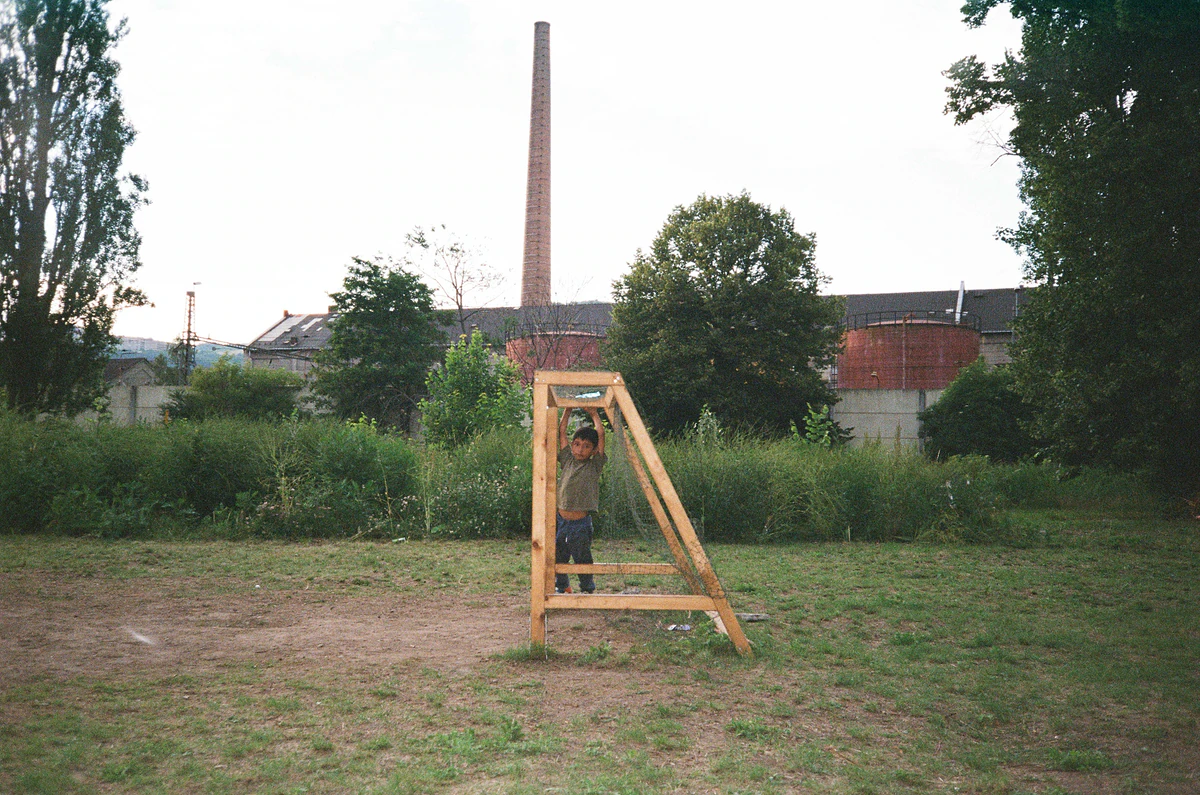 5 scaled