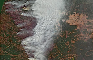 14 Copernicus Sentinel data 2019 processed by Pierre Markuse
