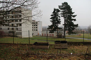 janov