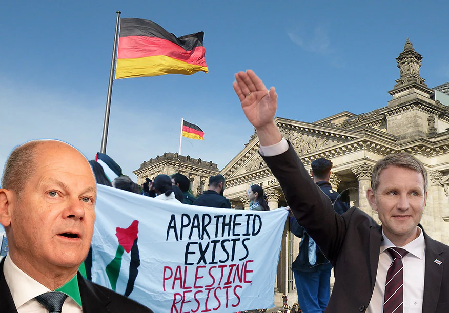 katja hoyer afd interview